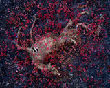 DELVXE EDITION - VOL. MCCCXXI 'Deer' by Tanya Marcuse