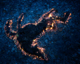 DELVXE EDITION - VOL. MCCCXXI 'Deer' by Tanya Marcuse