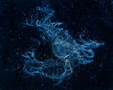 DELVXE EDITION - VOL. MCCCXXI 'Deer' by Tanya Marcuse