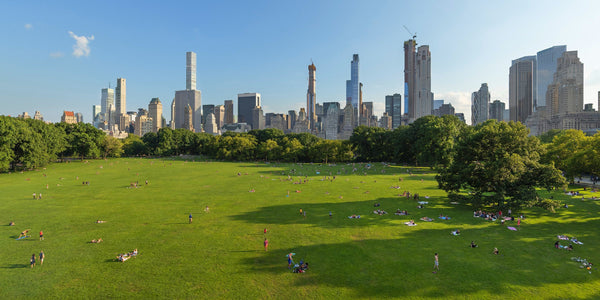 Poster by David La Spina of Central Park's Sheeps Meadow