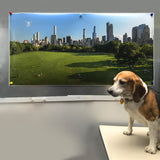 Poster by David La Spina of Central Park's Sheeps Meadow