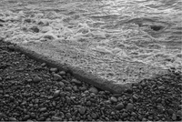 LI — 'Beachhead' by Daniel Reuter